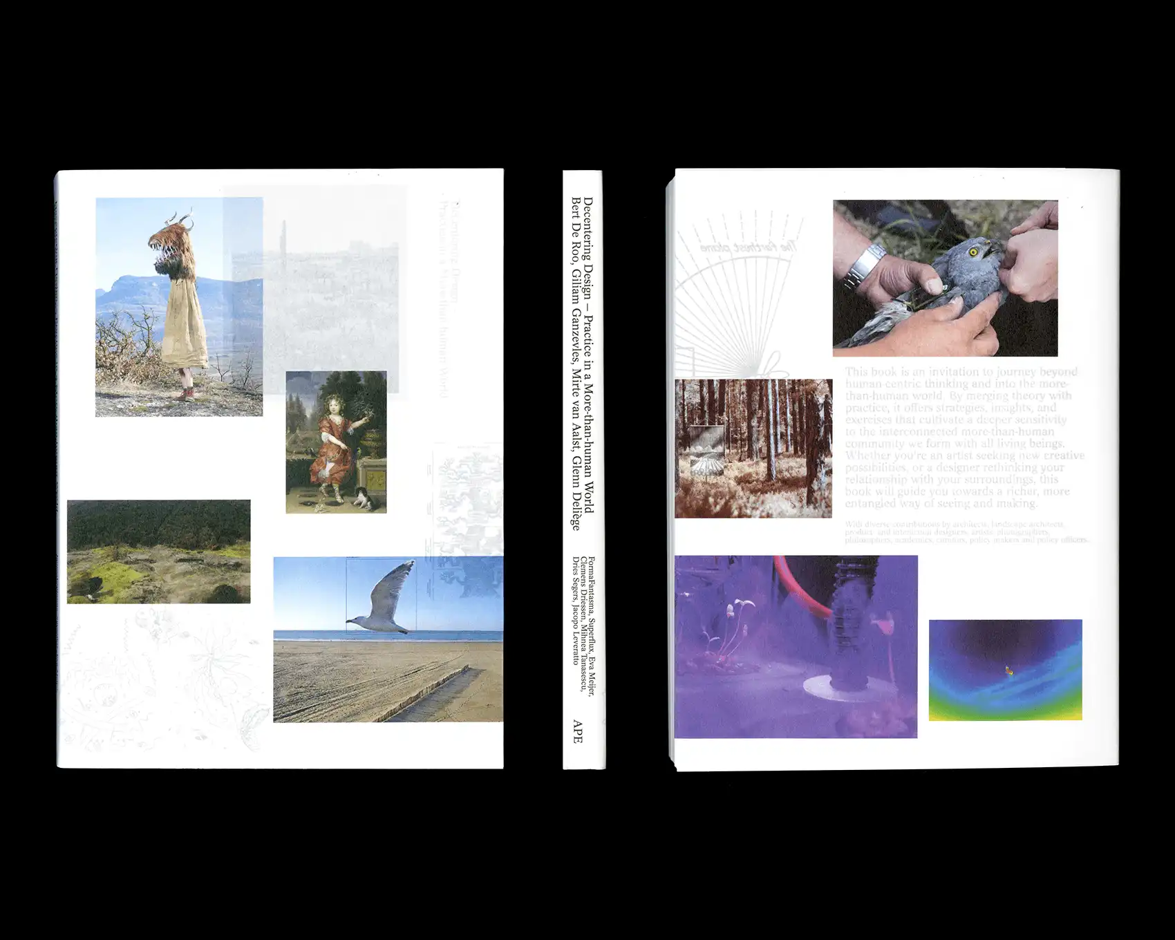 Publication Decentering Design